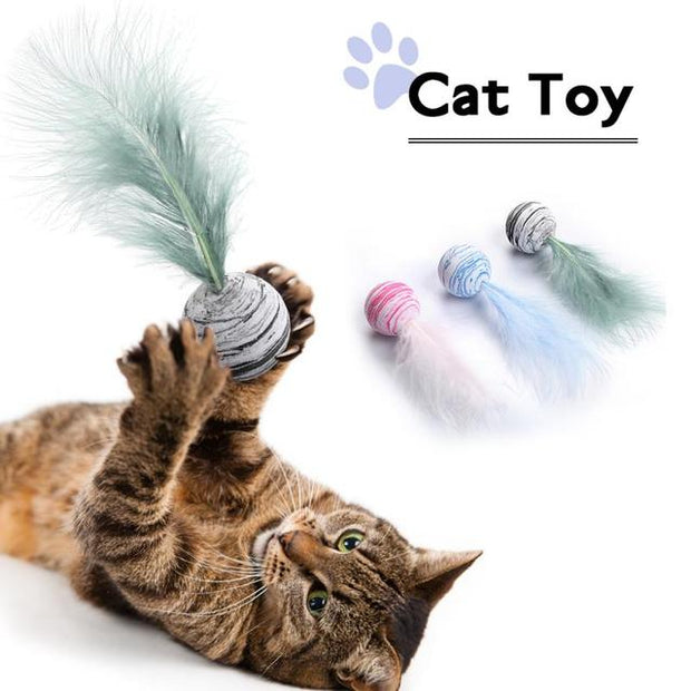 Pet Ball with feather