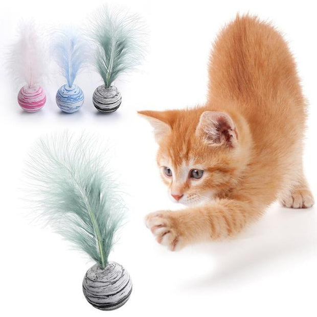 Pet Ball with feather