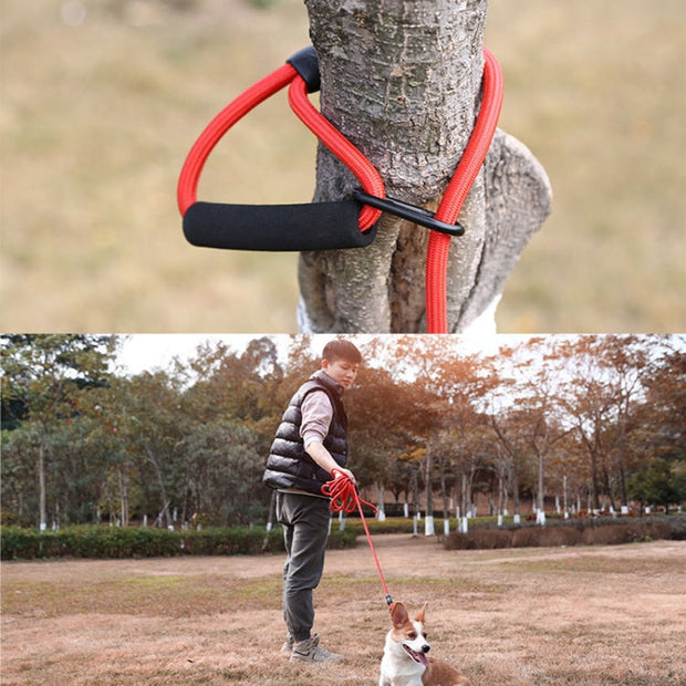 Sh36 Rock Climbing Rope Pet Leash Bold and Long Dog Training Tracking